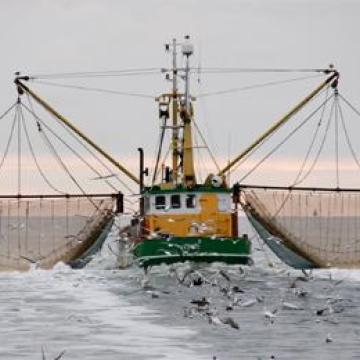 marinelisting